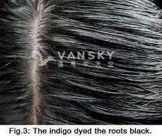 251230161730_Hair-Dyed with indigo-s.jpg